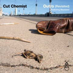 Cut Chemist featuring Blackbird - Outro 12